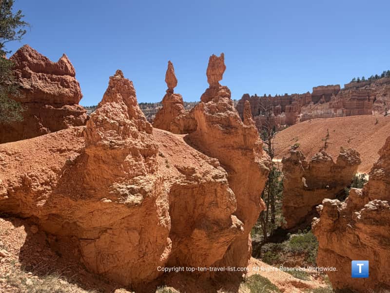 Bright hoodoos on the Queen's Garden trail at Bryce Canyon National Park