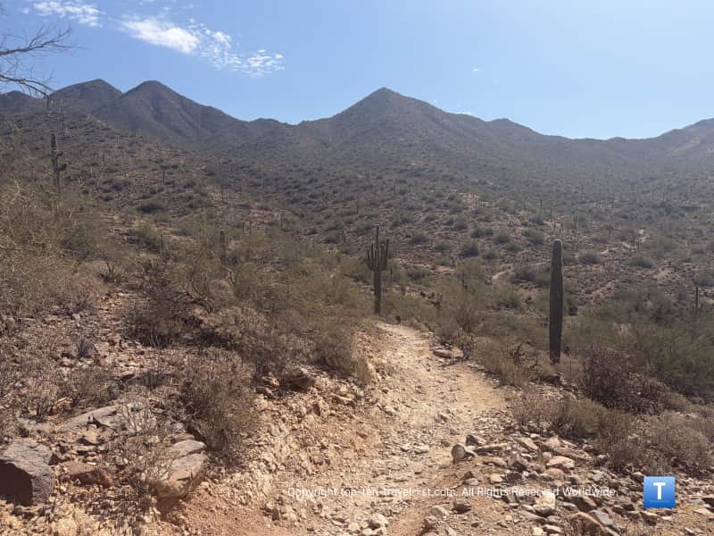 Rocks on the Lost Dog wash trail in Scottsdale
