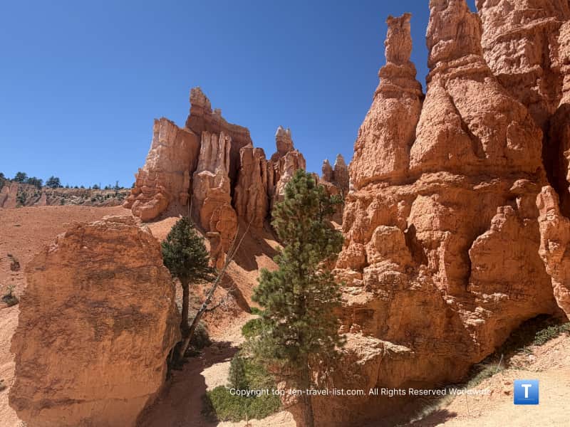 Reddish hodoos on the Queen's Garden trail at Bryce Canyon National Park