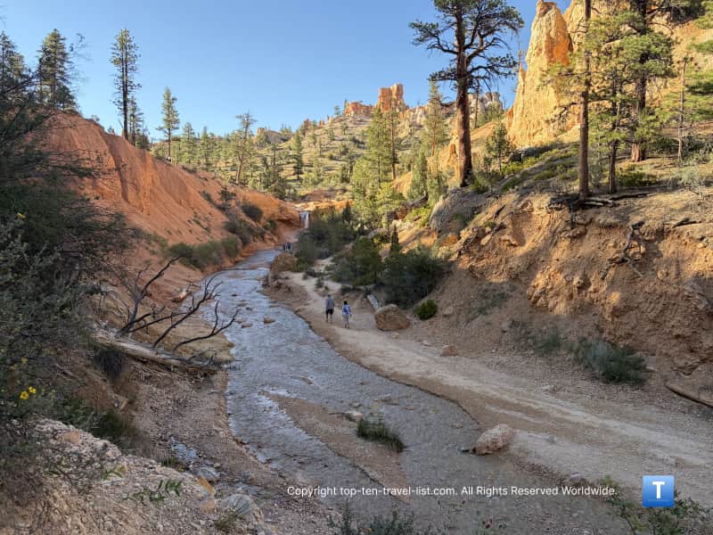 Side trail to waterfall base on Mossy Cave trail at Bryce Canyon National Park