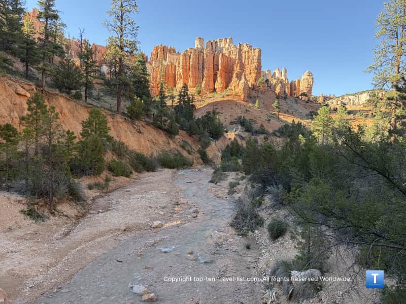 Views of hoodoos on the Mossy Cave trail at Bryce Canyon National Park