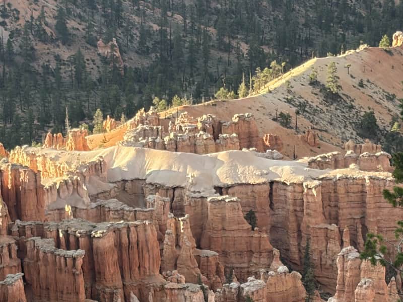 Alligator rock formation at Bryce Canyon National Park
