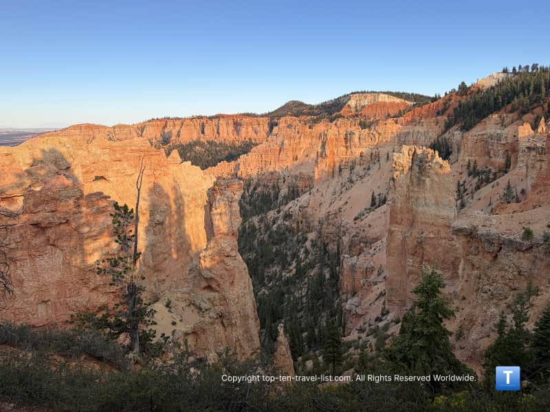 Gorgeous pinkish hoodoos seen from the Black Birch overlook at Bryce Canyon