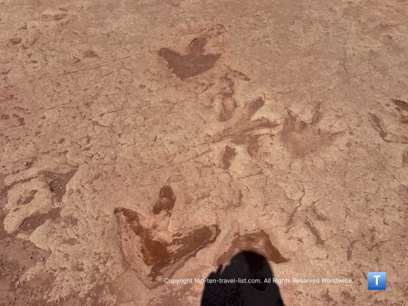 Dinosaur tracks in Tuba City, Arizona