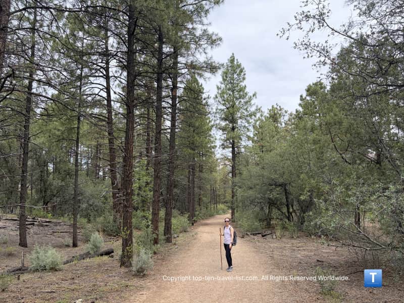 Hiking West Lake Trail 351 in the Prescott National Forest 