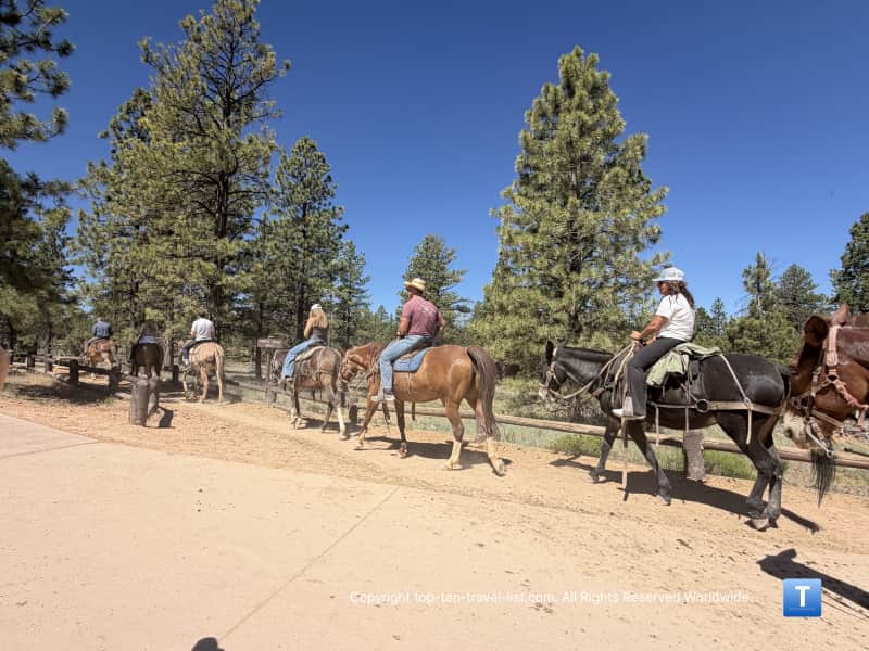 Horseback rides on the Rim trail at Bryce Canyon National Park