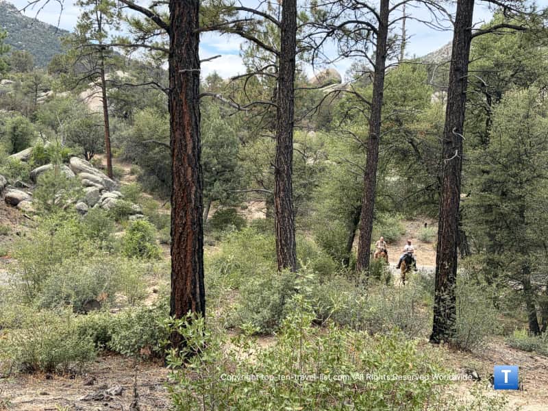 Equestrians on the West Lake Trail 351 in the Prescott National Forest 