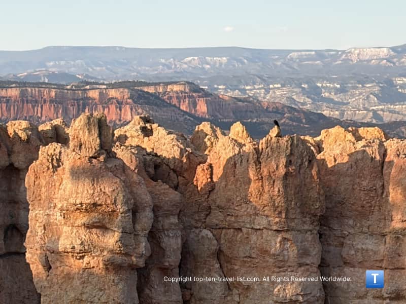 Large hoodoos at Bryce Canyon