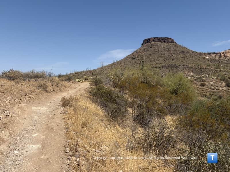 View of the mountain from Brown's Ranch Loop at the Scottsdale McDowell Sonoran Preseve