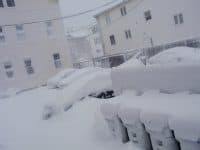 I Survived Winter Storm Nemo - Top Ten Travel List