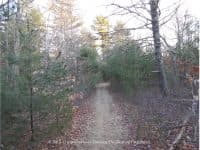 Copicut Woods – A Rustic Escape in Fall River, Massachusetts - Top Ten Travel List