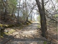 Peaceful Hiking at Breakheart Reservation in Massachusetts - Top Ten Travel List
