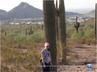 6 Fantastic Hiking Areas in Phoenix - Top Ten Travel List