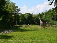 Zoo New England – The Franklin Park Zoo - Top Ten Travel List