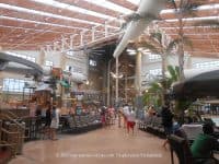 Wilderness at the Smokies: A One of a Kind Tennessee Adventure - Top Ten Travel List