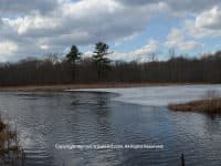 A Peaceful Afternoon Stroll at Gertrude M. Boyden Wildlife Refuge - Top Ten Travel List