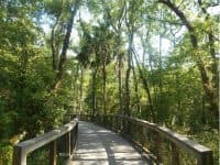 Brooker Creek Preserve: A Quiet, Natural Oasis in Tarpon Springs, Florida - Top Ten Travel List