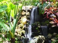 A St. Petersburg Oasis: Beautiful, Tropical Sunken Gardens - Top Ten Travel List