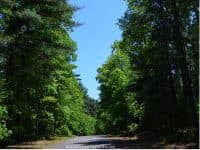 A Nature Walk at Massasoit State Park - Top Ten Travel List