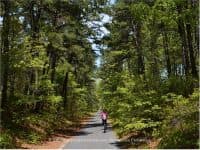 Cape Cod Rail Trail – 22 Miles of Gorgeous New England Forest Views - Top Ten Travel List
