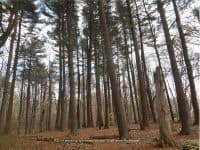 A Peaceful Nature Walk at Caratunk Wildlife Refuge - Top Ten Travel List