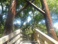 Hillsborough River State Park: A Bit of Florida Wilderness Just Outside of Tampa - Top Ten Travel List