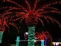 Christmas in Tampa Bay: Snow, Holiday Boat Parades, Tree Lightings & More! - Top Ten Travel List