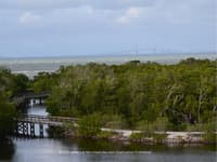 Robinson Nature Preserve: A Tranquil Florida Escape - Top Ten Travel List