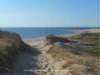 A Gorgeous Day on Cape Cod’s Great Island Trail - Top Ten Travel List