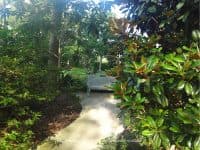 A Southeast Texas Gem: Beaumont Botanical Gardens - Top Ten Travel List