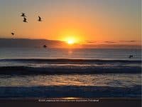 Amelia Island: A Historical Coastal Gem in Northern Florida - Top Ten Travel List
