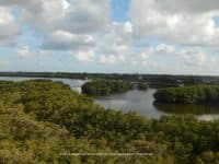 Peaceful Hiking in St. Petersburg: Weedon Island Preserve - Top Ten Travel List
