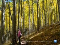 A Beautiful Autumn Walk Along the Inner Basin Trail in Flagstaff - Top Ten Travel List