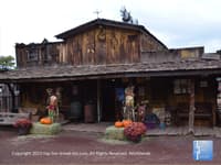 Pumpkin in the Pines: Beautiful Views & Fall Fun in Flagstaff - Top Ten Travel List