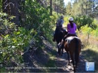 A Scenic Horseback Riding Adventure through the San Juan National Forest - Top Ten Travel List