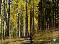 9 Places to See Fall Color in Arizona - Top Ten Travel List