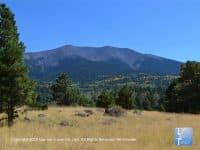 Bismark Lake: A Peaceful Walk through Northern Arizona Wilderness - Top Ten Travel List