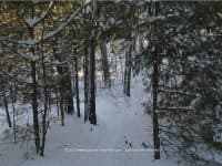20 Reasons New England is Still Awesome in Winter - Top Ten Travel List