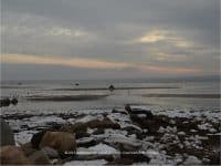 Winter Scenes at Buzzard’s Bay Little Harbor Beach - Top Ten Travel List