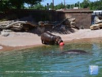 Attraction of the Week: The Albuquerque Zoo - Top Ten Travel List