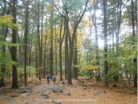 A Beautiful Fall Hike through Blue Hills Reservation - Top Ten Travel List