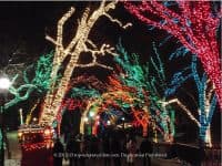 Lincoln Park Zoo Lights – A Colorful Lights Extravaganza Like No Other - Top Ten Travel List