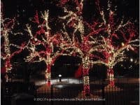 16 Festive Holiday Attractions & Activities - Top Ten Travel List