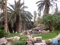 Attraction of the Week: The Wildlife Habitat at The Flamingo in Vegas - Top Ten Travel List
