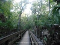 A Peaceful Stroll through Palm Harbor’s John Chestnut Park - Top Ten Travel List