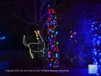 Attraction of the Week: Phoenix Zoo Lights - Top Ten Travel List