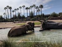 Attraction of the Week: Reid Park Zoo in Tucson - Top Ten Travel List