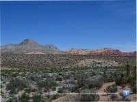 Red Rock Canyon: A Natural Oasis Just 20 Miles from The Strip - Top Ten Travel List