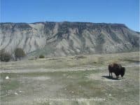 15 Fun Things to Do in Southern Idaho - Top Ten Travel List