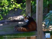 Attraction of the Week: Roger Williams Park Zoo in Providence - Top Ten Travel List